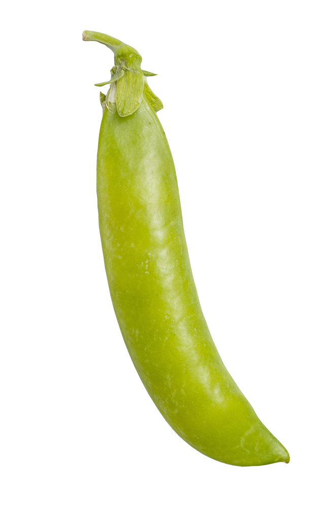 Green peas, Green peas png, Green peas png image, Green peas transparent png image, Green peas png full hd images download